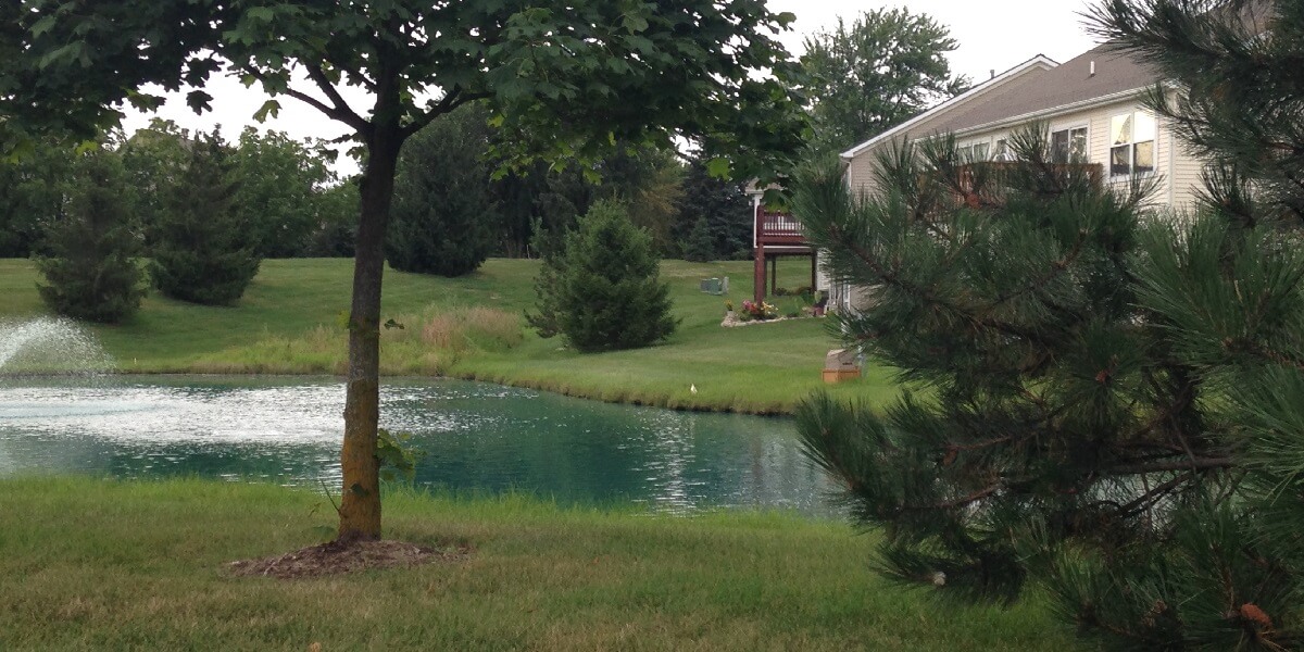 Pleasant surroundings